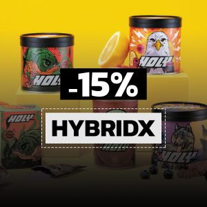 Code-promo-HOLY-ENERGY